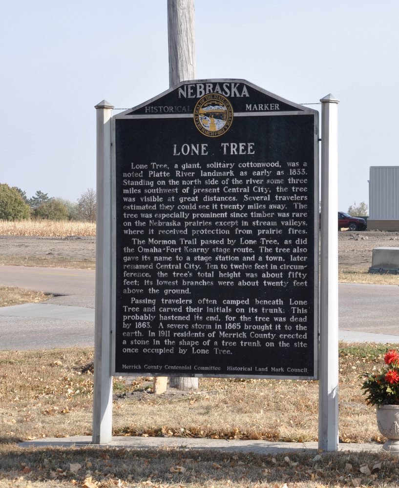 Lone Tree