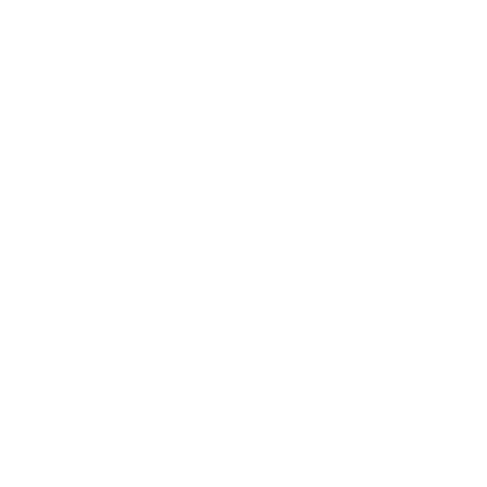 PNHA Logo White NEW